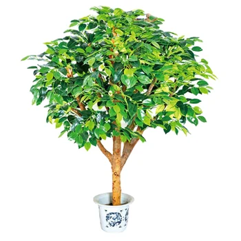 Wholesale bonsai tree live ficus tree artificial bonsai banyan tree