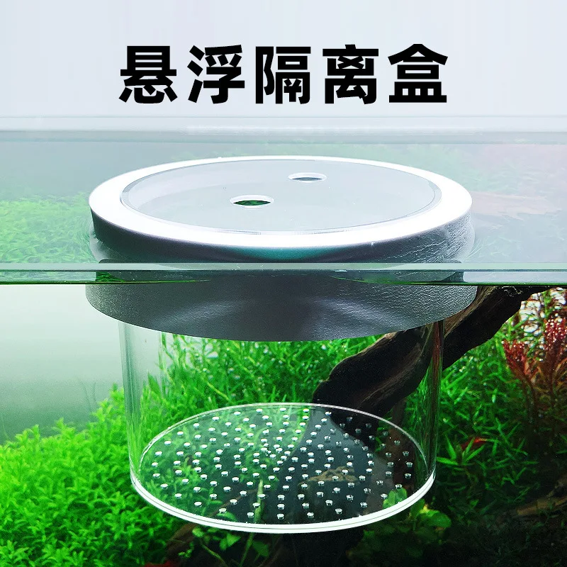 Acrylic Aquarium Isolation Box - Ideal for Floating Breeding