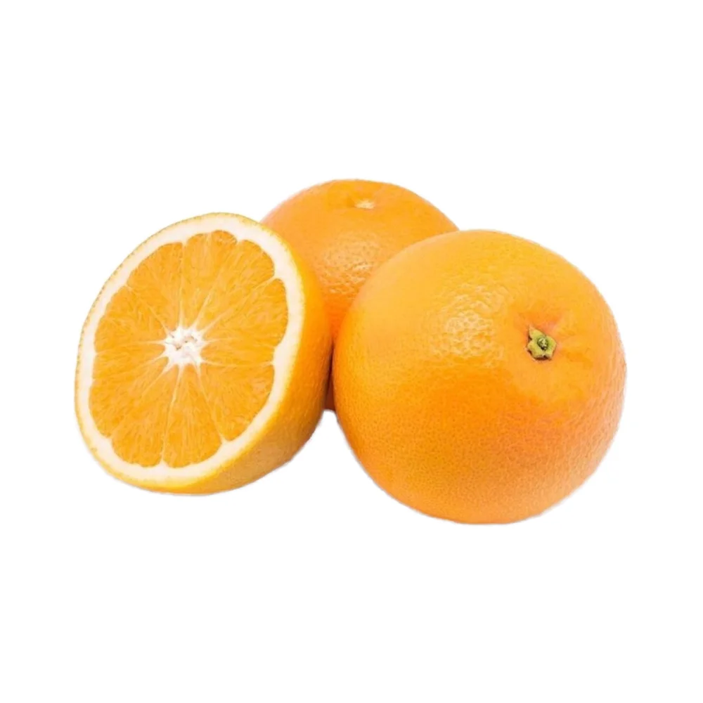 Total Organic Fresh Oranges Juicy and Sweet Citrus Fruit From Egypt with 12 Month Shelf Life