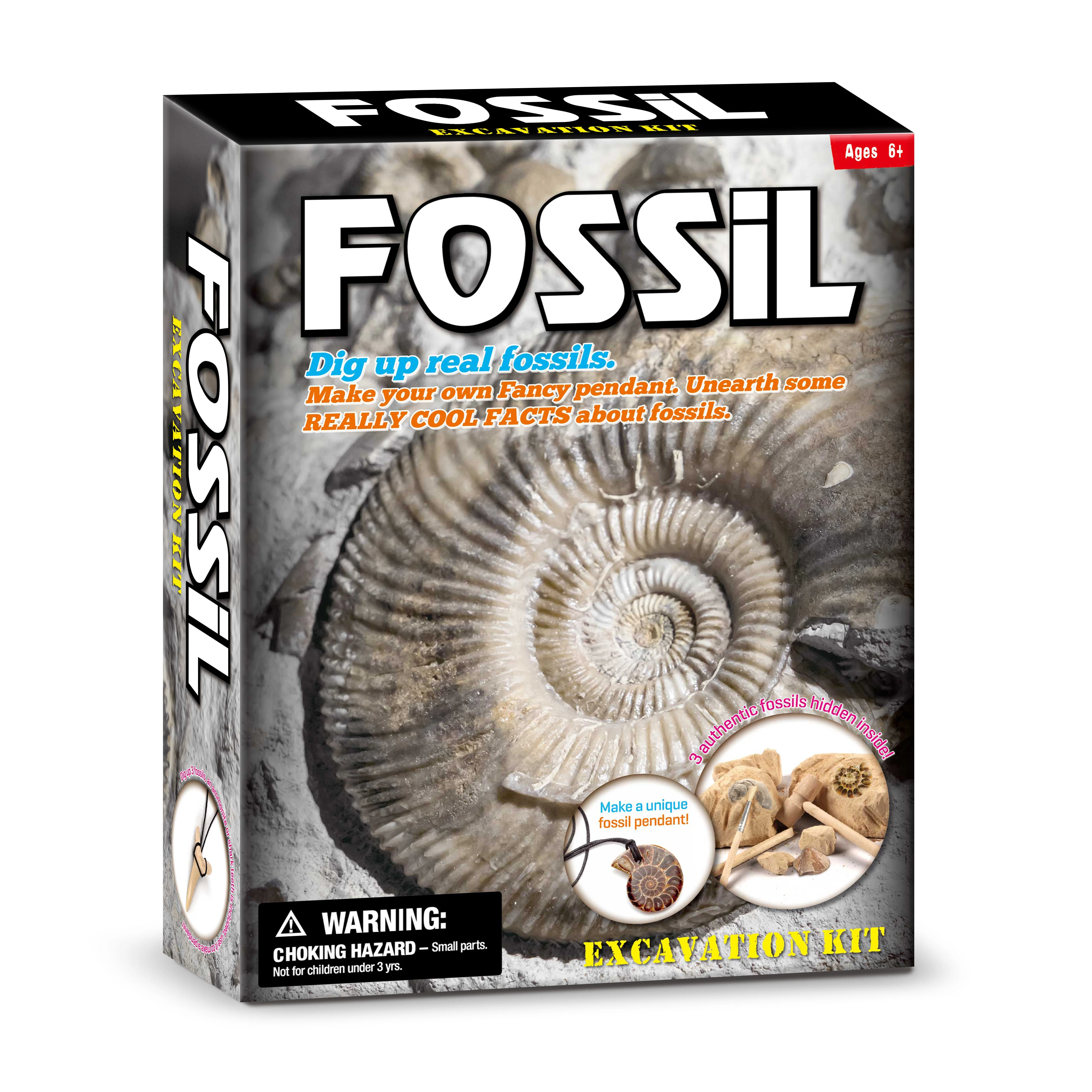 National Geographic Mega Fossil Dig Kit Excavate 15 Real Fossils Including