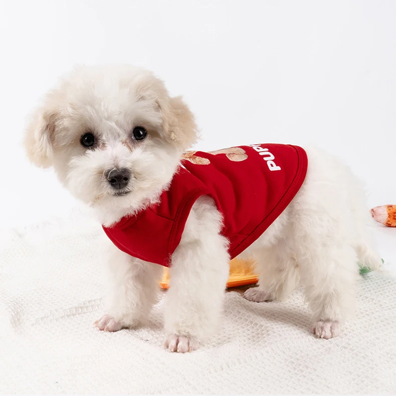 New Summer Thin Anti-hair Pet Clothes Bear Vest Than Bear Chihuahuas Small and Medium-sized Dog Clothes Cross-border supplier