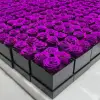 Purple 4Roses Square