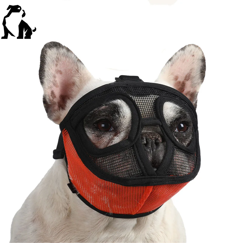 flat faced dog muzzle