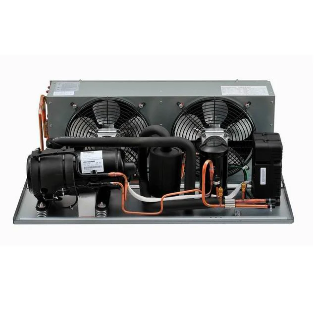 Refrigeration Freezer Compressor  for Small Short Reefer Cargo Van Unit 1 hp