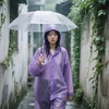 Violeta