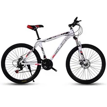 Mountain Bike (1).jpg