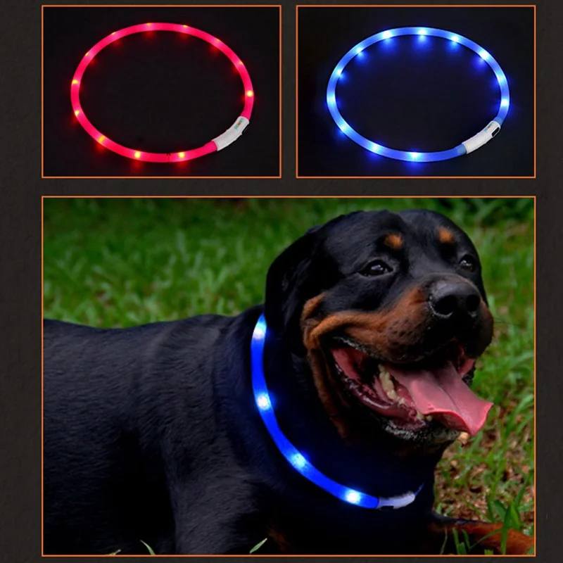 Promotional Product LED Luminous Custom Electronic Usb Rechargeable Light up Flashing Pet Glow in the Dark Dog Collar and Leash