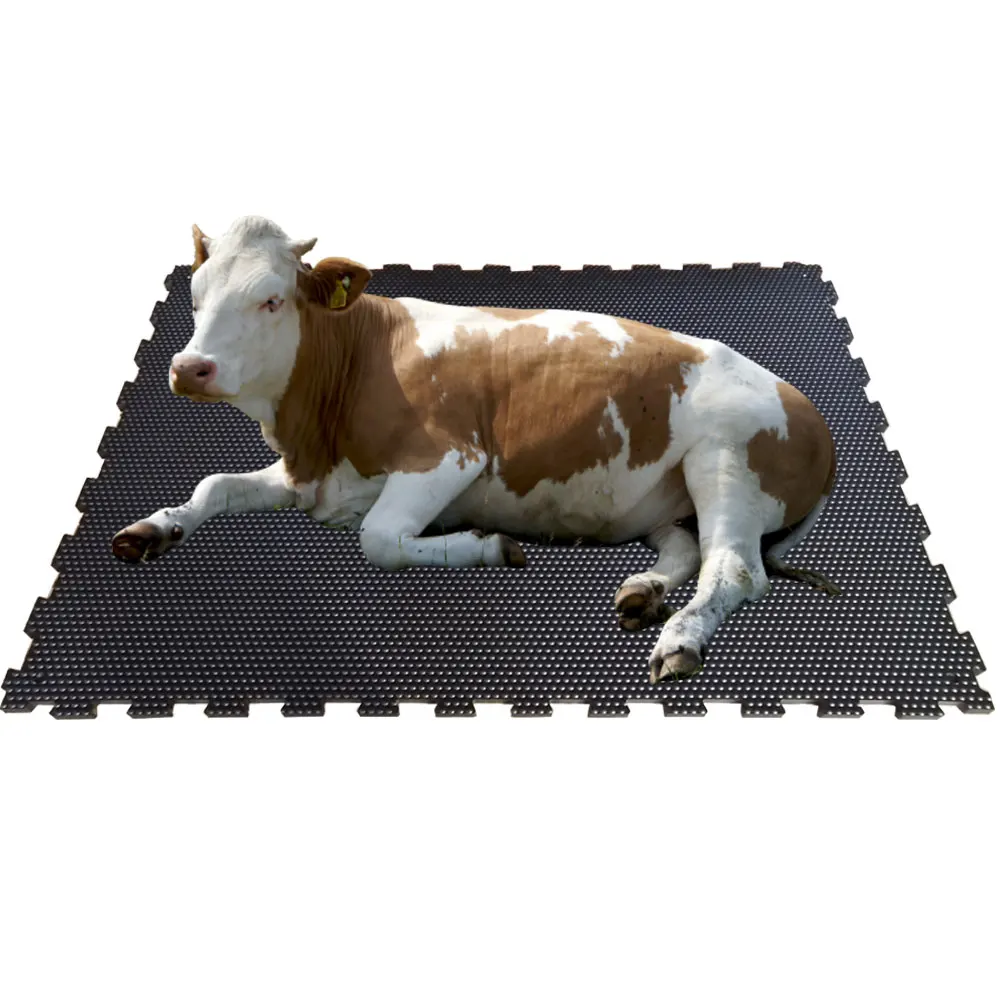 dairy cow horse stable stall animal rubber flooring mat