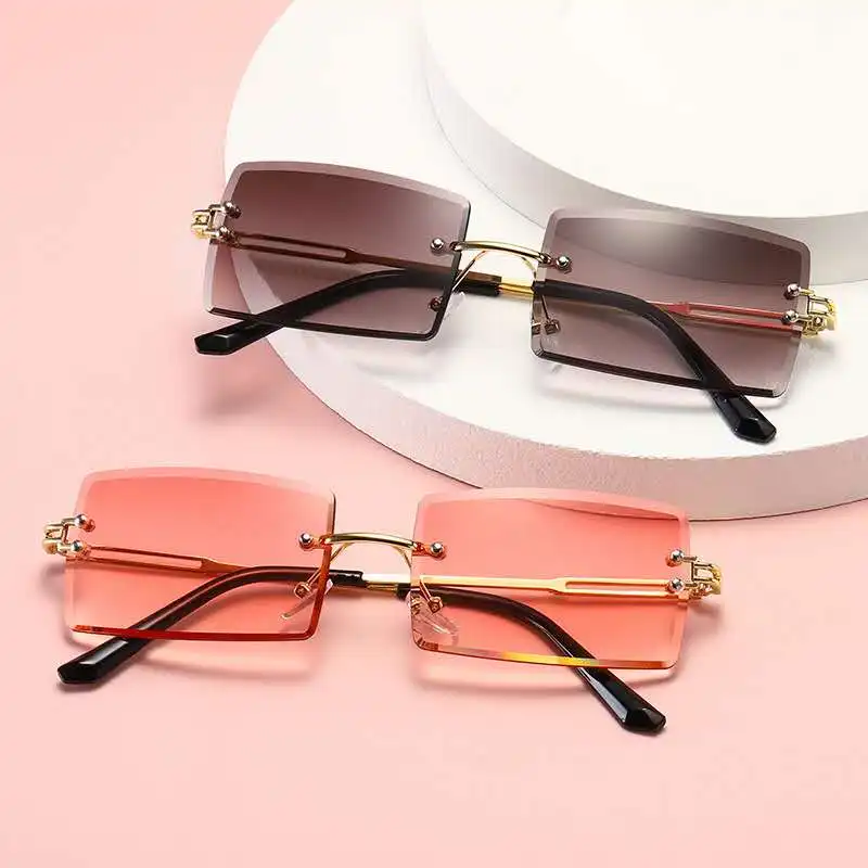 eyeglasses with shades