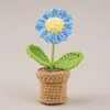 Blue Daisy