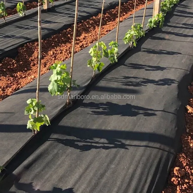 SDM  Weed MATS with Custom Sized Garden Lawns and Nurseries Anti Grass Cloth