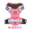 Coral Violet Purple [Single-chested, no rope]