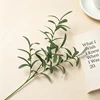4 Forks Olive - No Fruit 71cm