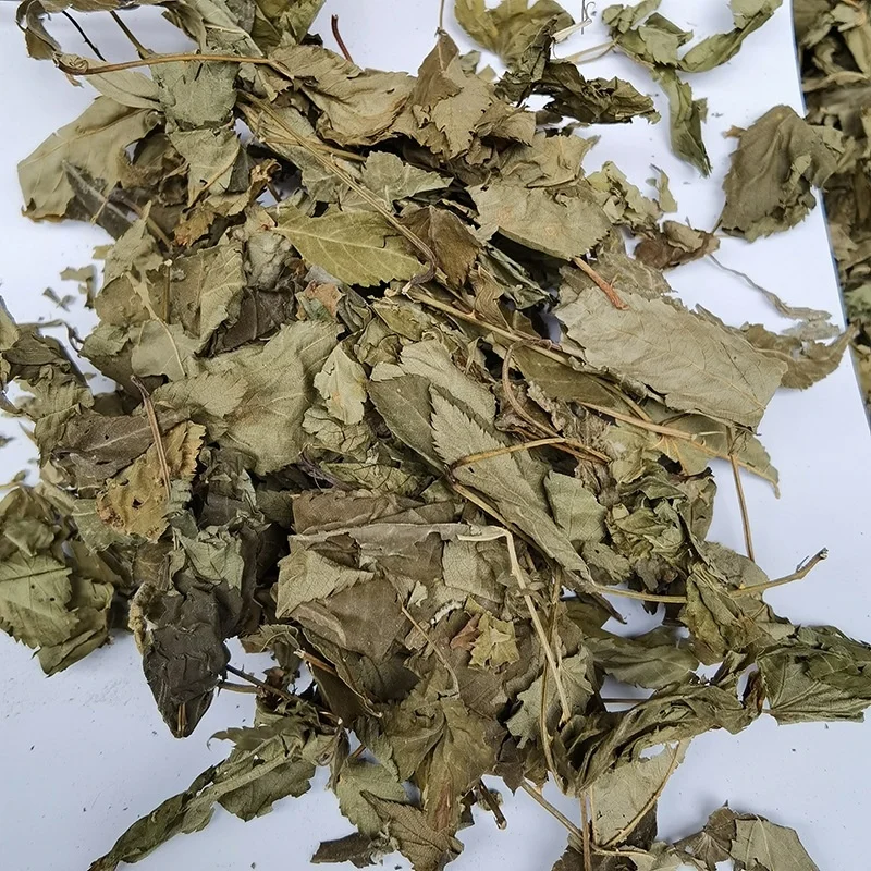 Raspberry Leaf Tea Wholesale Raspberry Leaves FU PEN ZI YE
