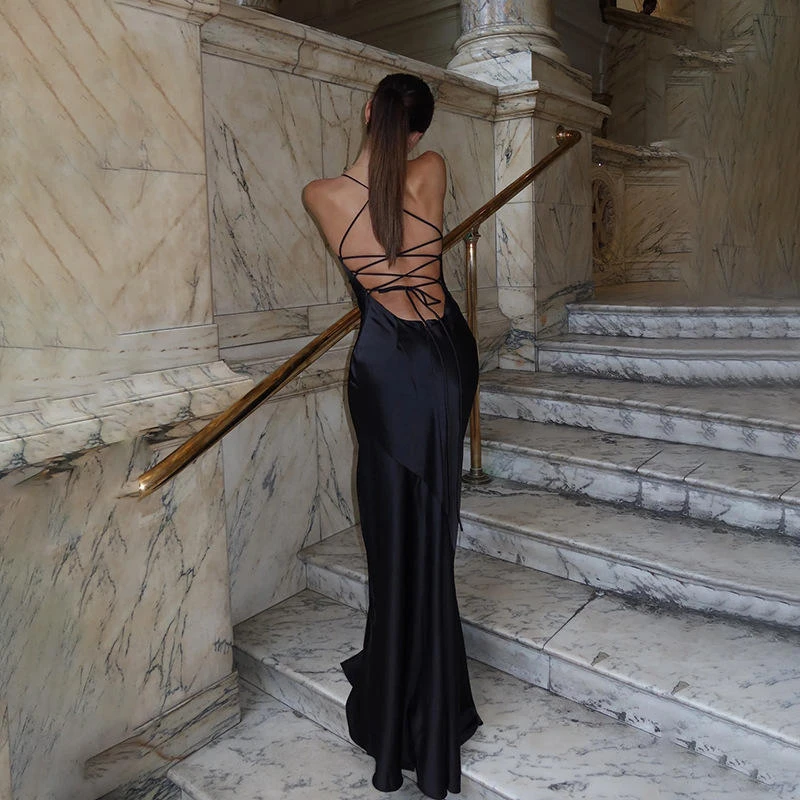 ZIPPY High Quality Nylon Cowl Neck Maxi Dress Elegant Luxury Evening Party Long Dress Sexy Backless Design Evening