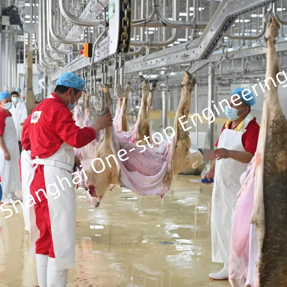 Sheep slaughterhouse plants 100 goat meat slaughterhouses per day