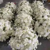 White 04