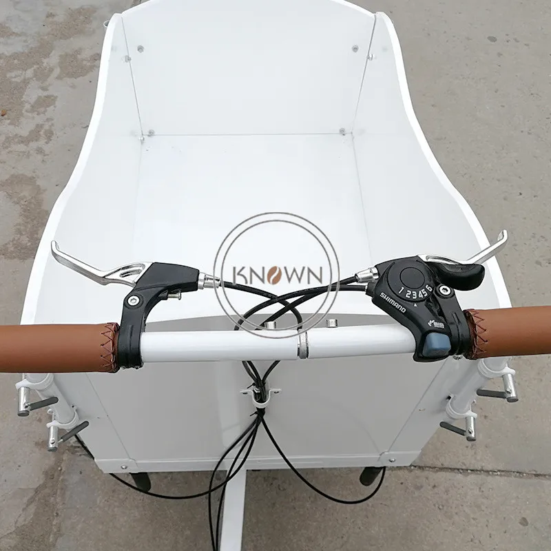 2024ヨーロピアンスタイル電動三輪車大人用カーゴバイク高品質