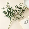 Qinghuai 10 Fork Olive (Double Colored Fruit) 104cm