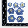 Azul natural 12 pcs/bag