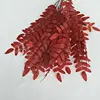 N.º1 rojo