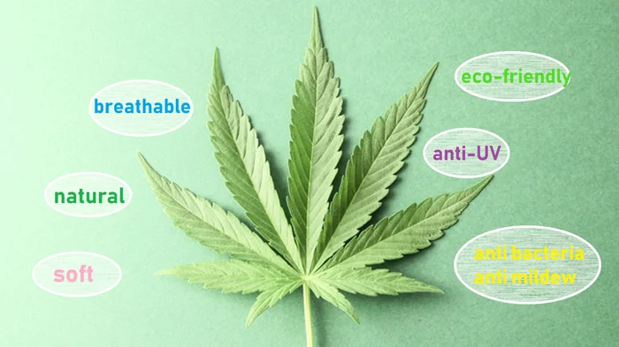 HEMP FIBER5.png