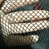 Nero senza nodo