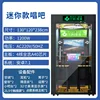 Mini singing bar (unit, home)