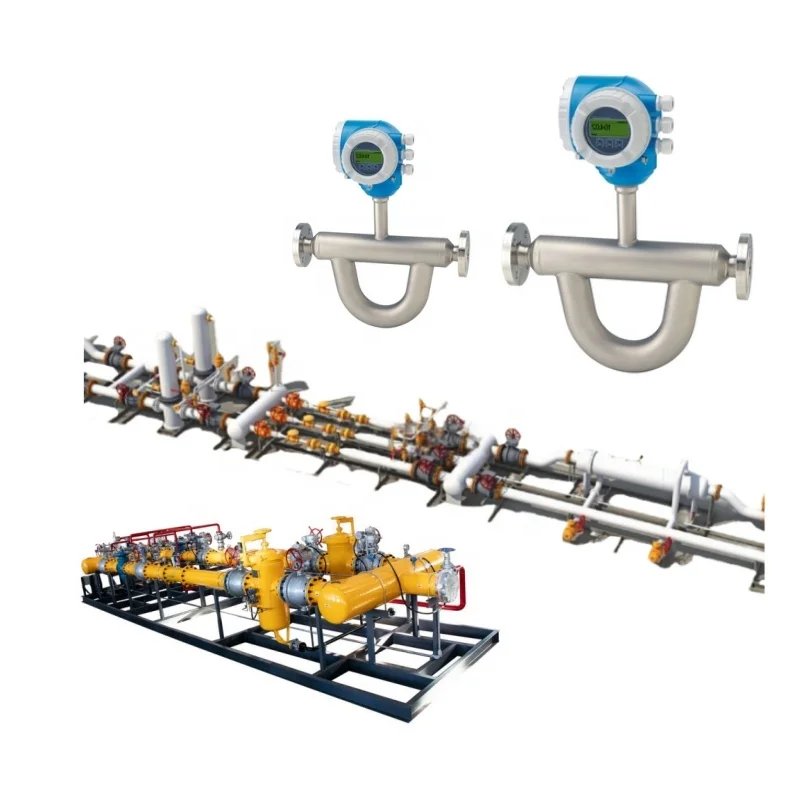 Medidor de vazão de densidade de volume de massa Coriolis Q300 de alta precisão Endress+Hauser E+H com posicionador de válvula