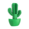 Cactus Toothbrush