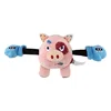 A boxing champion-pink pig