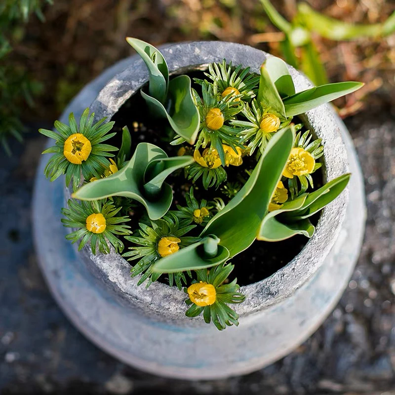 New arrival vintage style home garden decorative concrete flower pots antique cement pot for plants