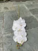 White 1