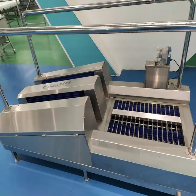 Rubber boot cleaning machine for food processing plants
