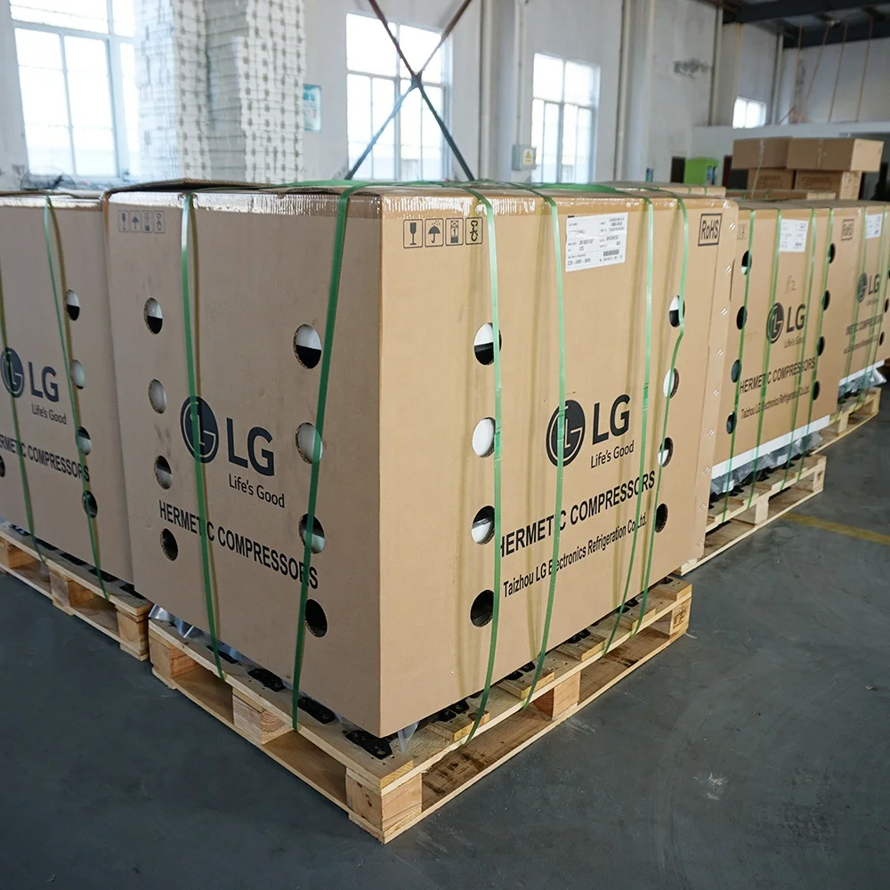 LG R600a CSB069NJEG Gas Piston Types Compressor for Refrigeration Original and New Fast Delivery