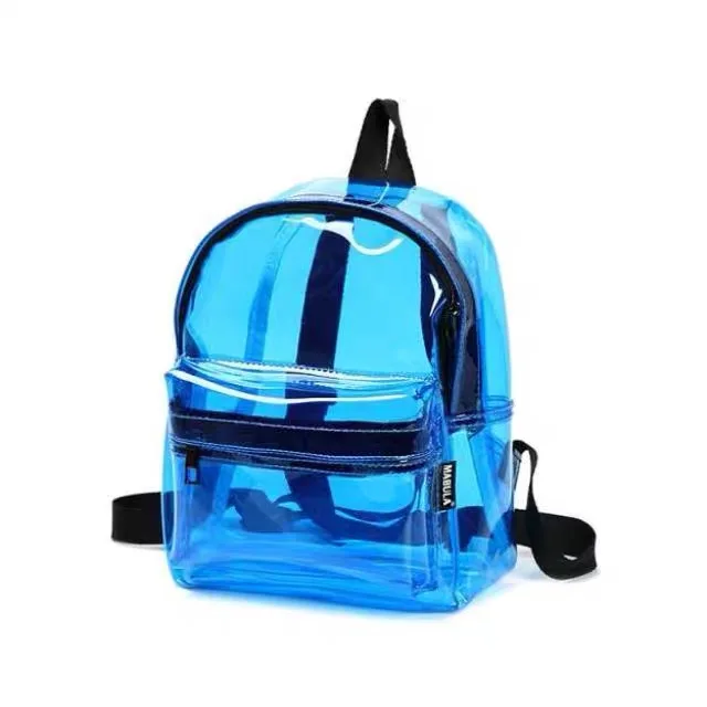 transparent college bolsa