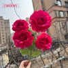 #8 rosso rosa scuro