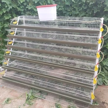 Automatic Battery Type a Quail Cage for Egg Production Commercial Quail Cages
