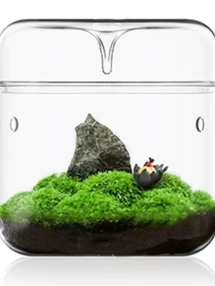 Classic Style Glass Geometric Terrarium Box Glass Terrarium Vase with Lid Creative Terrarium Flower Pot for Plants