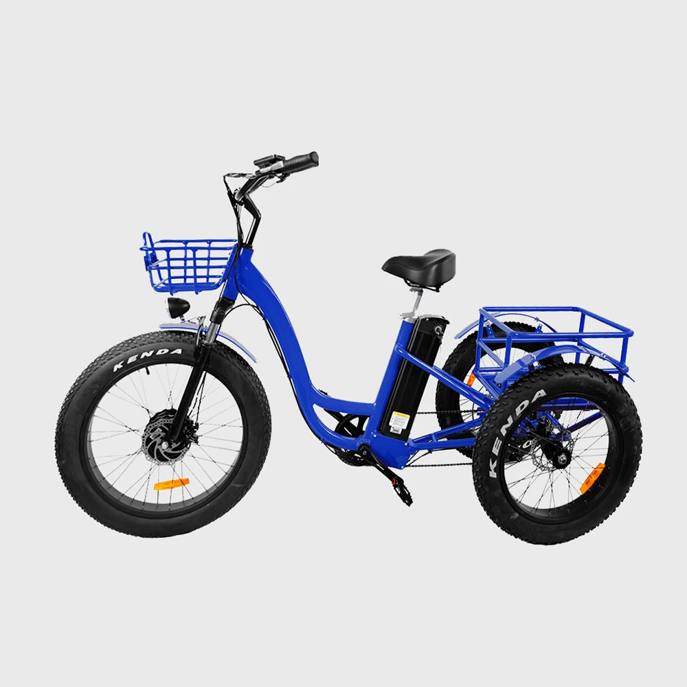 Ristar 2022 48V500W 700 Вт Электрический пассажирский трицикл для туда и обратно (RSD-708)