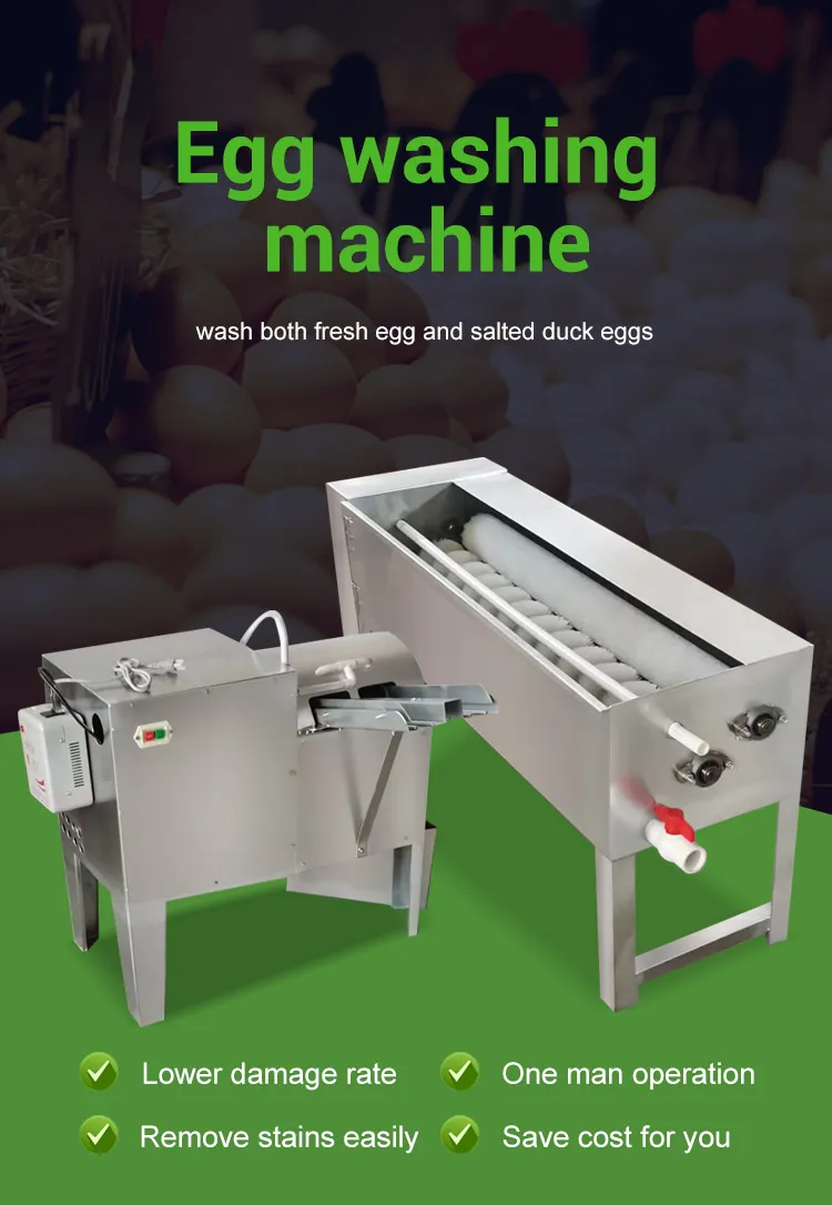Egg Continues Stainless Steel Machine Sale New Reasonable Price Washer Spray Clean Sorting and Wash Type