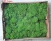 L-03 Green