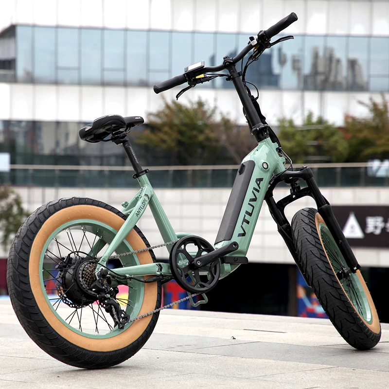 RADMINI Electric Folding fat Bike