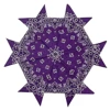 Viola 2