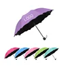 Cute Umbrella