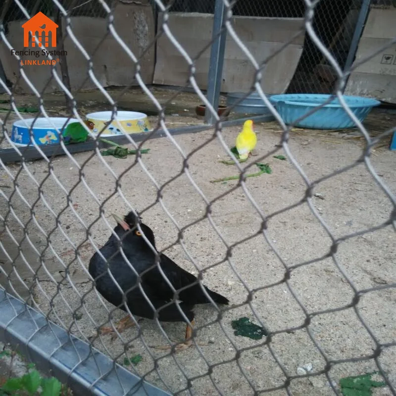 Bird Netting Zoo Enclosure Fence Tiger Cages Aviary Fencing Flexible Stainless Steel Cable Mesh
