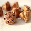 Vaina de loto de madera de durazno