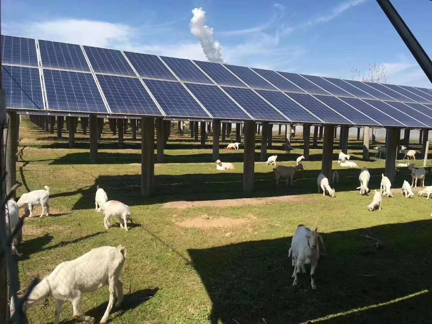 Solis Three Phase 220 380 Voltage 3kw 5kw 10kw 15kw 20kw 25kw on Grid Solar Inverter