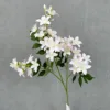 Rosa chiaro