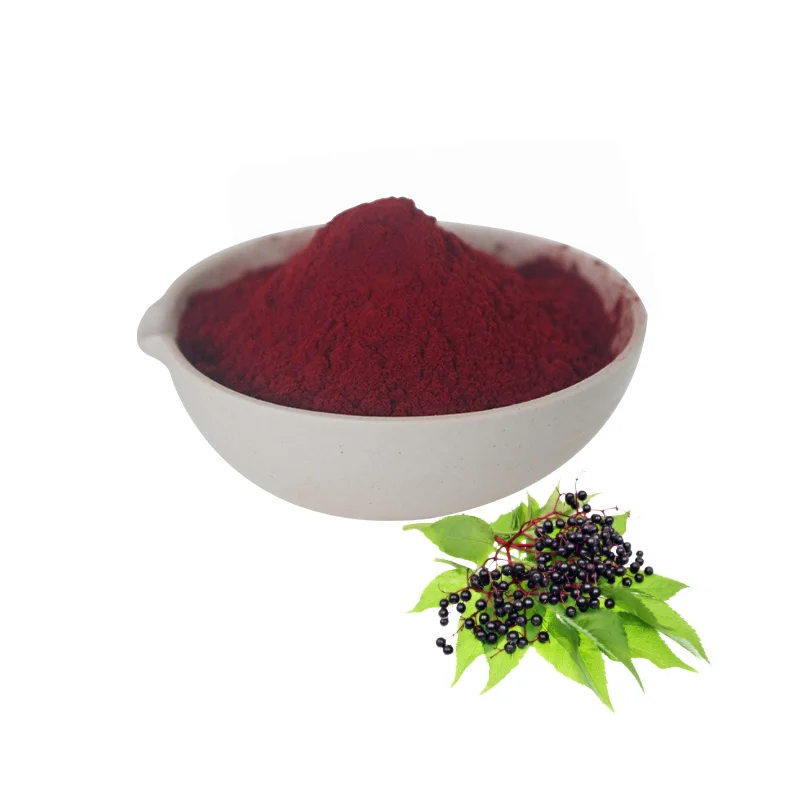 natural organic black elderberry extract powder - buy elderberry
